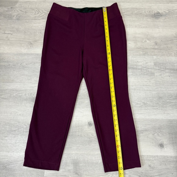 TanJay Burgundy Straight Leg Pull on Stretch Pants Size 14P Inseam 24in - Picture 4 of 14
